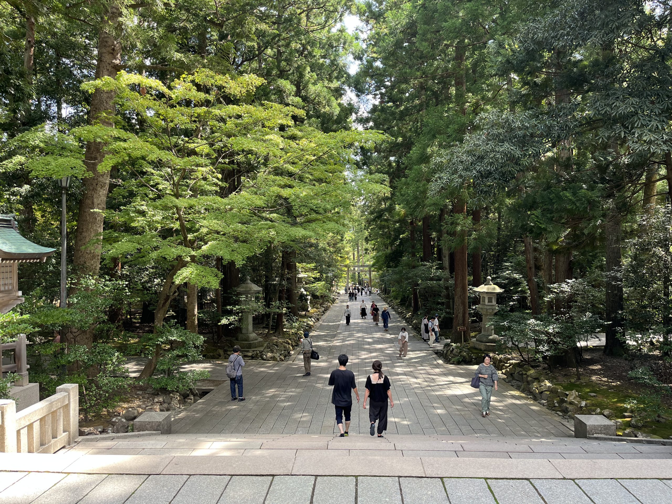 A Trip to Yahiko Shrine / 弥彦神社への小旅行
