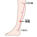 An image of the pressure point “chikuhin"